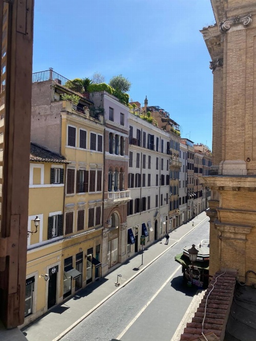 Baboon Room image 45